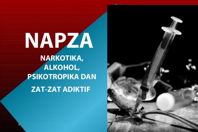 Detail Ppt Narkoba 2018 Nomer 42