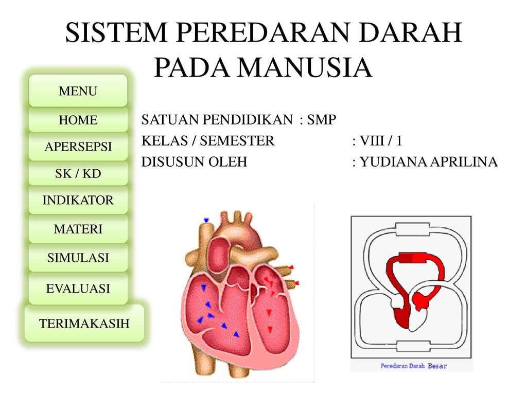 Detail Ppt Peredaran Darah Nomer 6