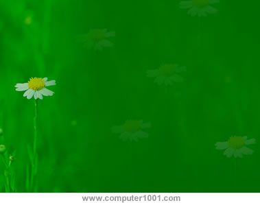Detail Ppt Polos Nomer 42