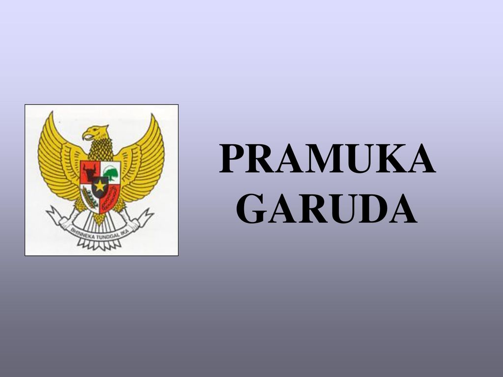 Detail Ppt Pramuka Nomer 38