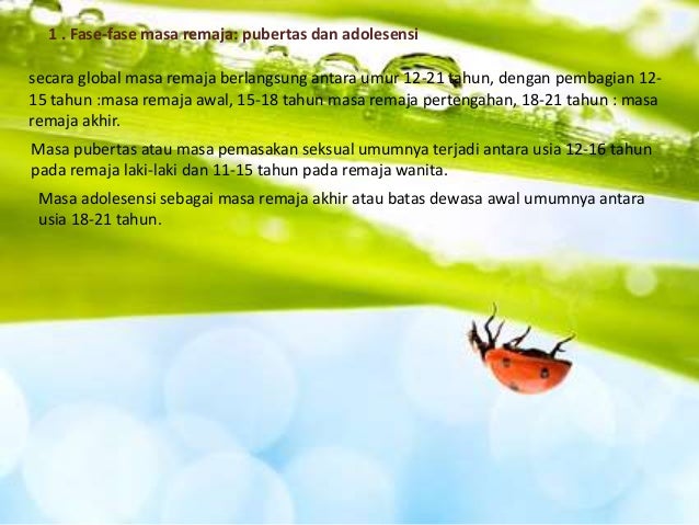 Detail Ppt Psikologi Perkembangan Remaja Nomer 13