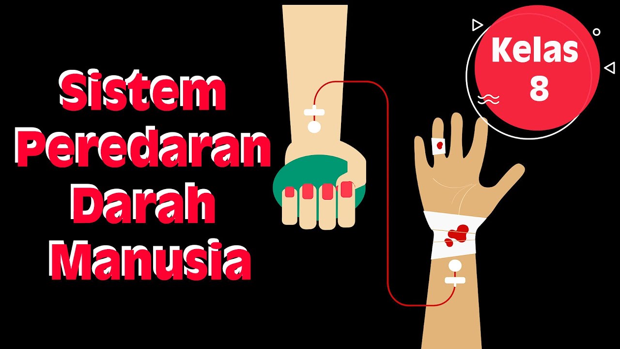 Detail Ppt Sistem Peredaran Darah Nomer 12