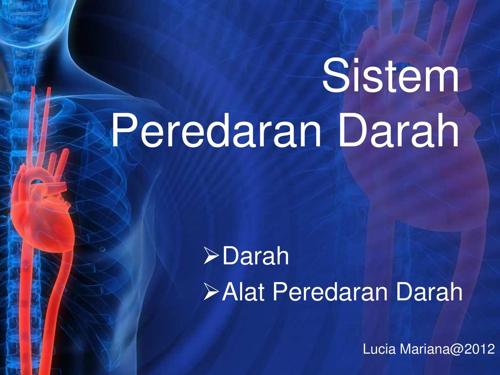 Detail Ppt Sistem Peredaran Darah Nomer 23