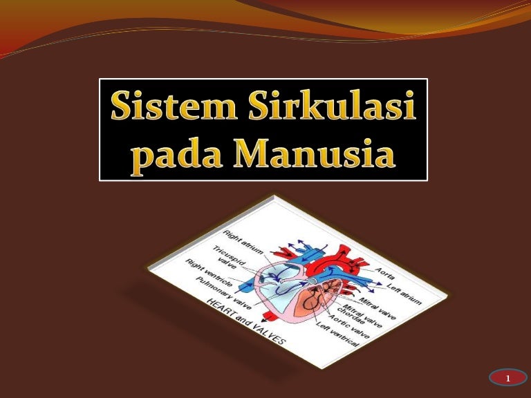 Detail Ppt Sistem Peredaran Darah Nomer 48