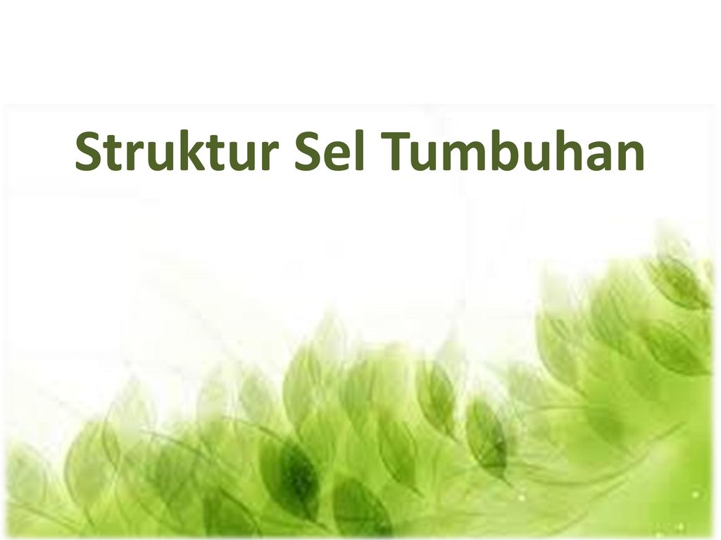 Detail Ppt Tumbuhan Nomer 11