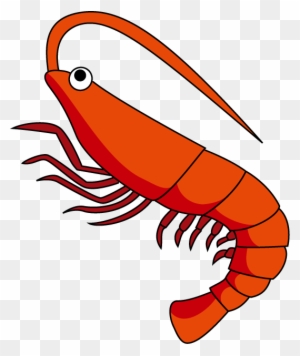 Detail Prawn Clipart Nomer 9