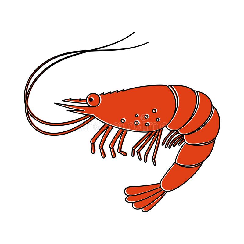 Detail Prawn Clipart Nomer 10