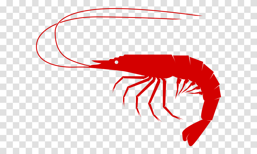 Detail Prawn Clipart Nomer 16