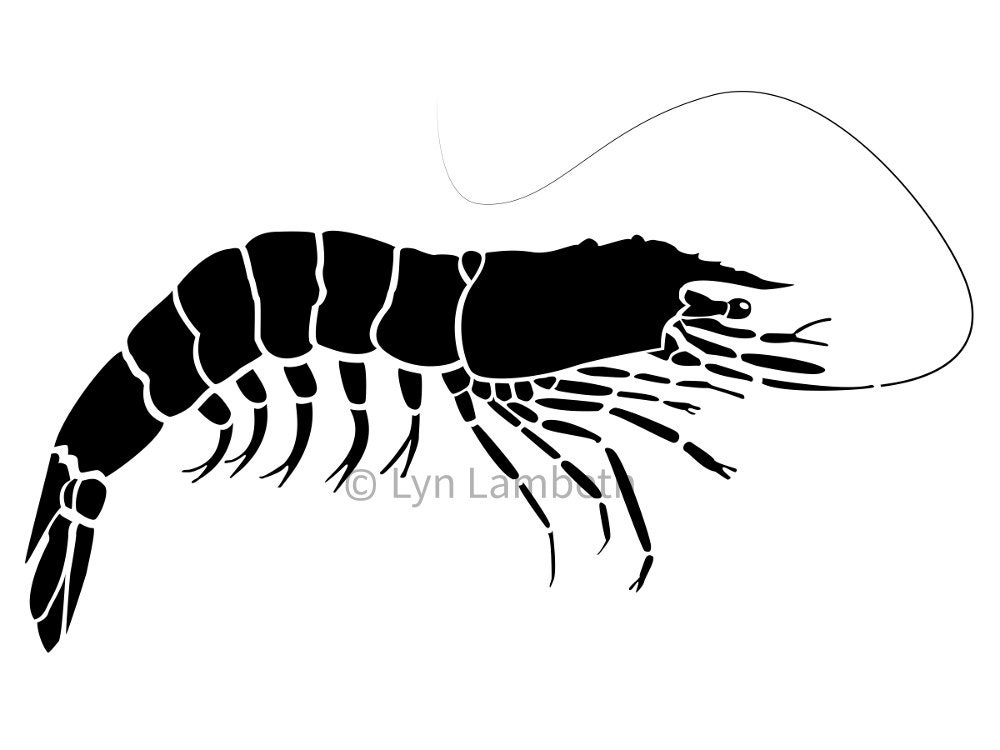 Detail Prawn Clipart Nomer 17