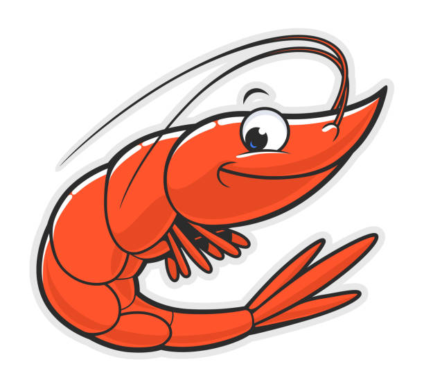 Detail Prawn Clipart Nomer 4