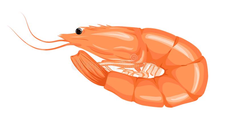 Detail Prawn Clipart Nomer 35