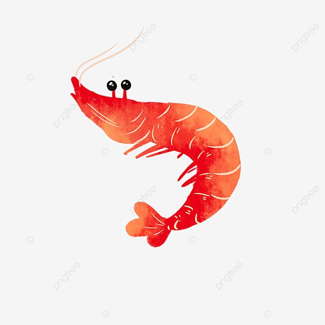 Detail Prawn Clipart Nomer 41