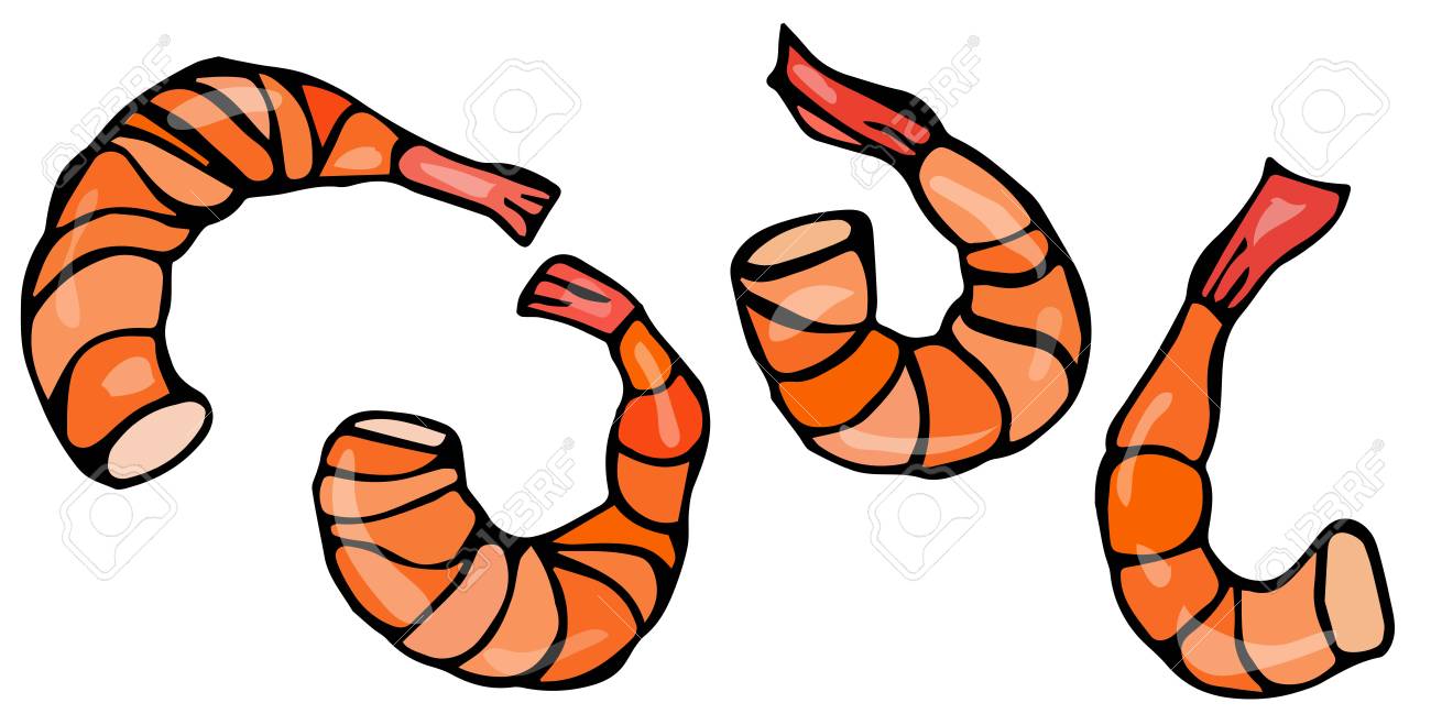 Detail Prawn Clipart Nomer 47