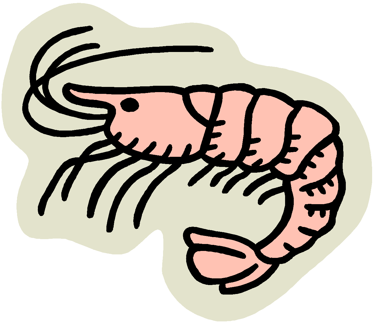 Detail Prawn Clipart Nomer 50