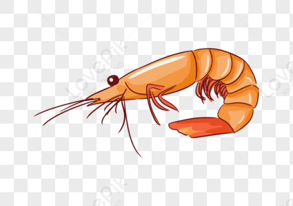 Detail Prawn Png Nomer 17