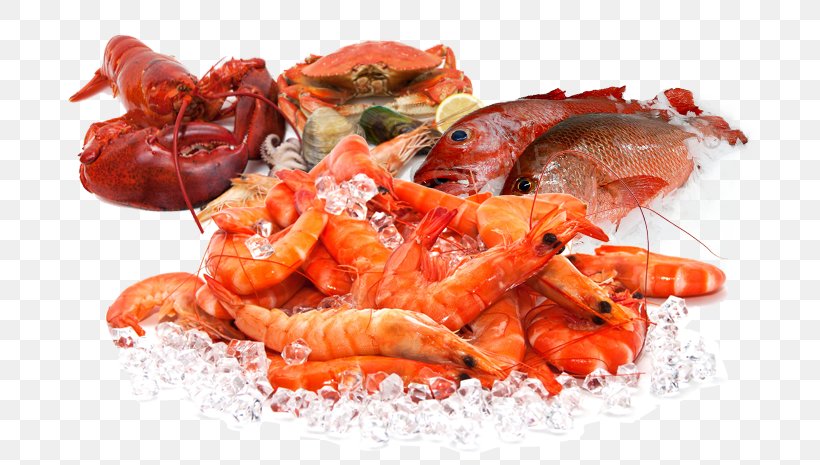 Detail Prawn Png Nomer 22