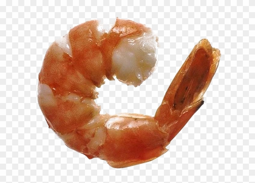 Detail Prawn Png Nomer 24