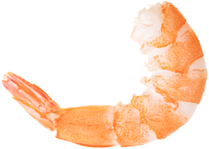 Detail Prawn Png Nomer 42