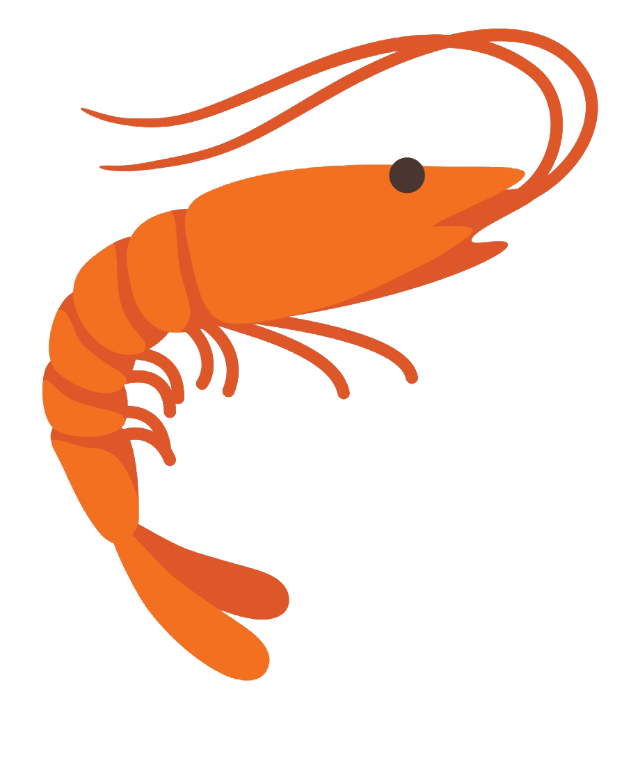 Detail Prawn Png Nomer 46