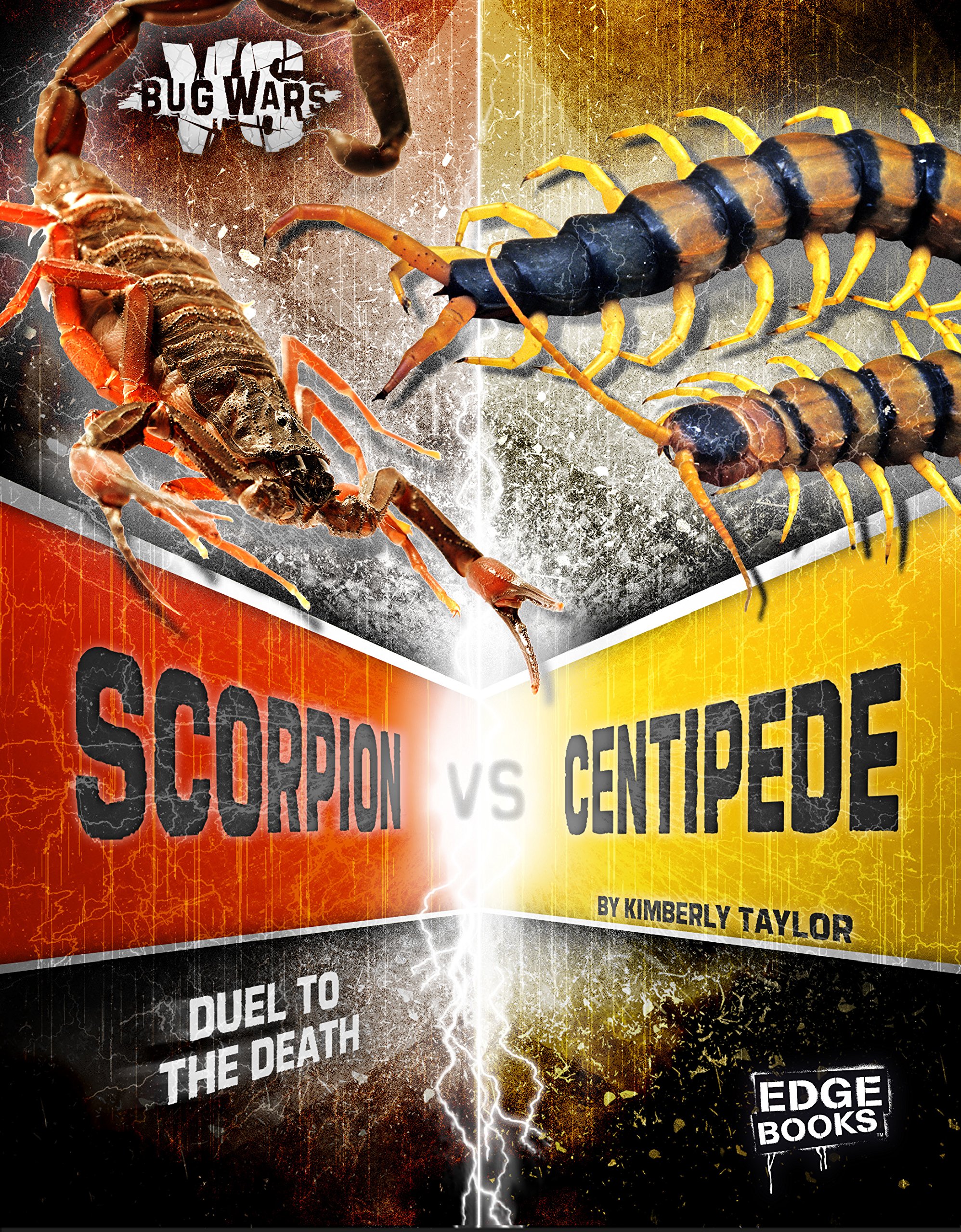 Detail Pray Mantis Vs Scorpion Nomer 33