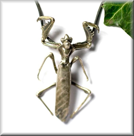 Detail Praying Mantis Necklace Nomer 23