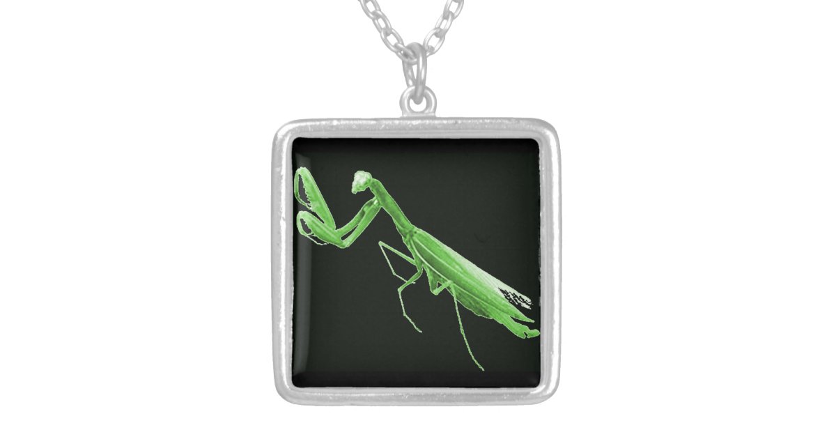 Detail Praying Mantis Necklace Nomer 34