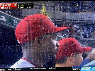 Detail Praying Mantis On Baseball Hat Nomer 53