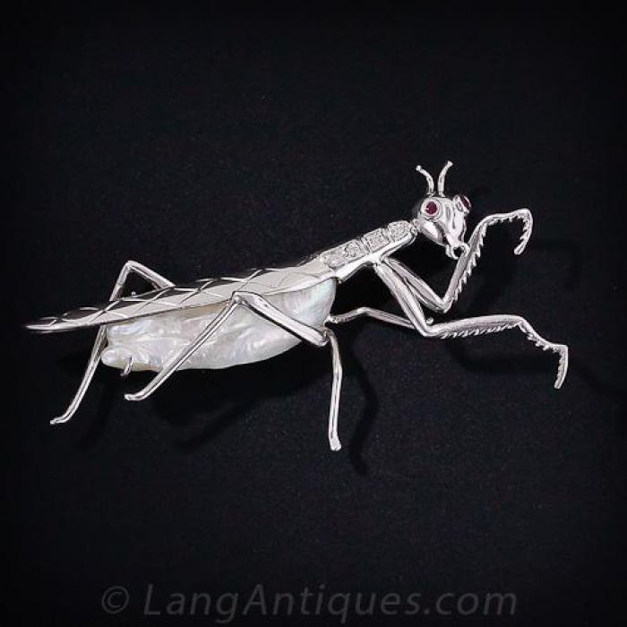 Detail Praying Mantis Sound Clips Nomer 23
