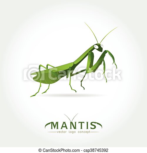 Detail Praying Mantis Sound Clips Nomer 33