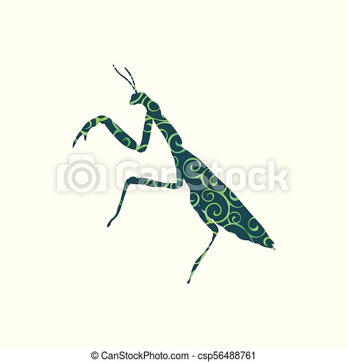 Detail Praying Mantis Sound Clips Nomer 36