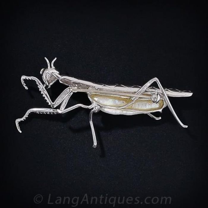 Detail Praying Mantis Sound Clips Nomer 37