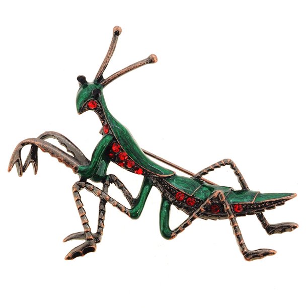 Detail Praying Mantis Sound Clips Nomer 47