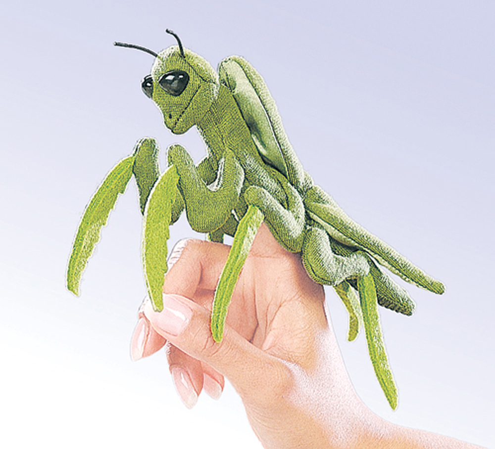 Detail Praying Mantis Sound Clips Nomer 51