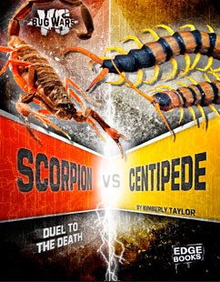 Detail Praying Mantis Vs Scorpion Nomer 24