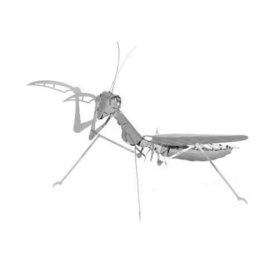 Detail Praying Mantis Vs Scorpion Nomer 31