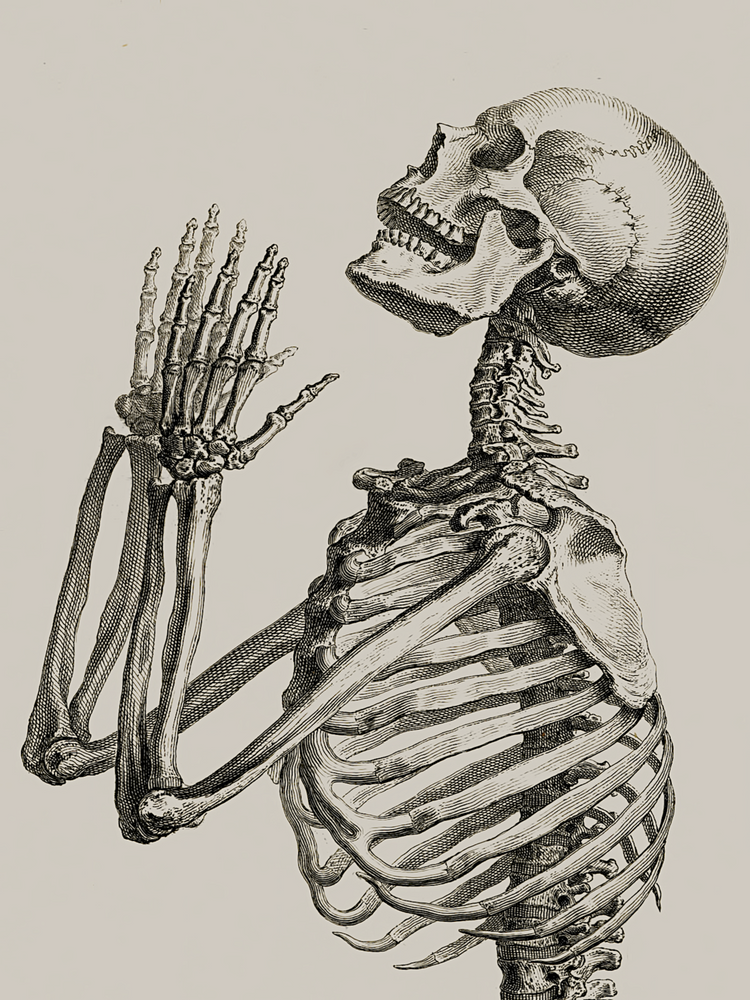 Detail Praying Skeleton Png Nomer 9