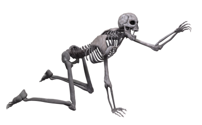 Detail Praying Skeleton Png Nomer 48