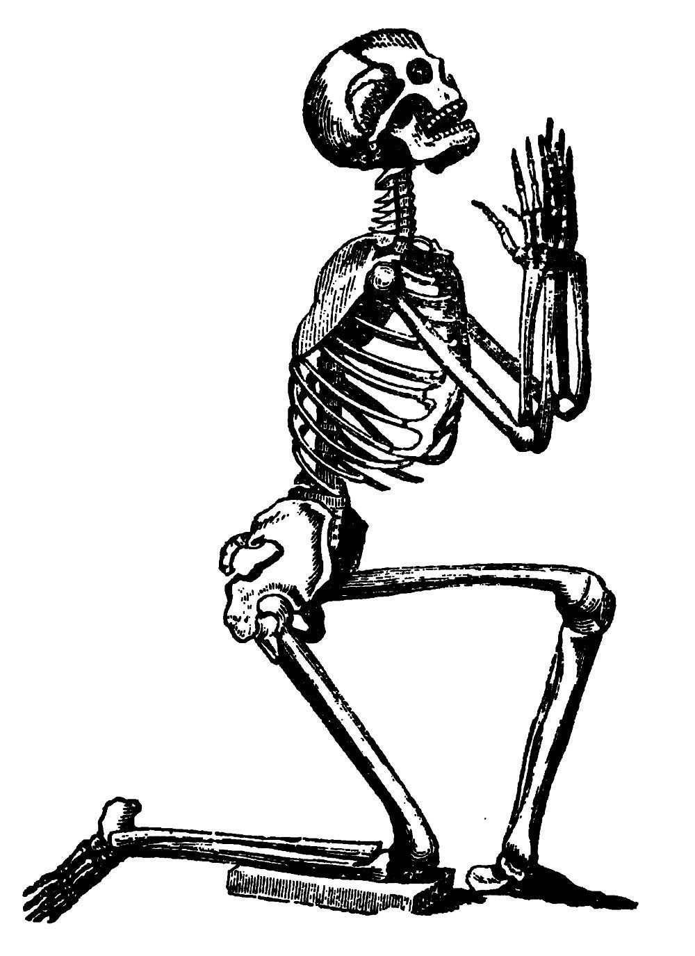 Detail Praying Skeleton Png Nomer 5