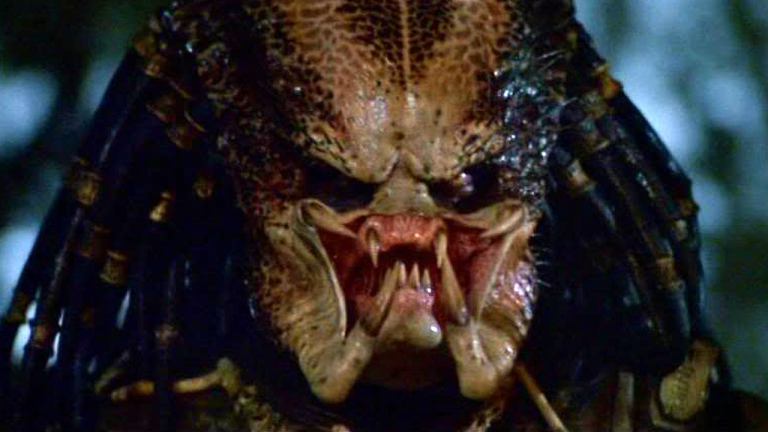 Detail Predator Image Nomer 3