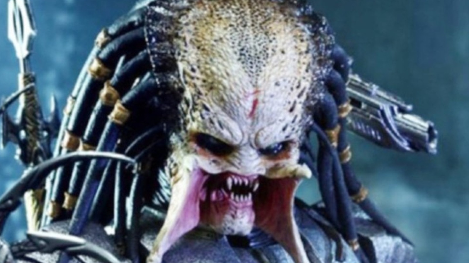 Detail Predator Image Nomer 5