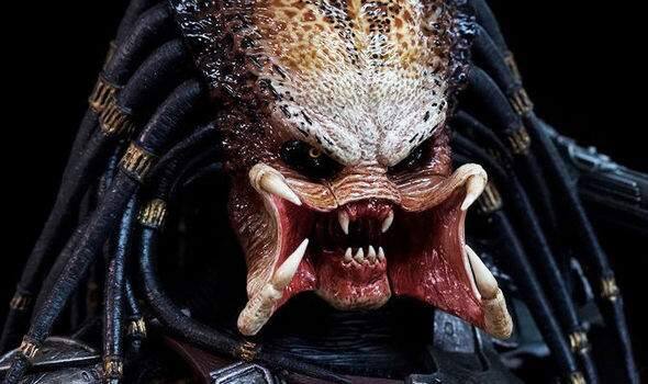 Detail Predator Images Nomer 4