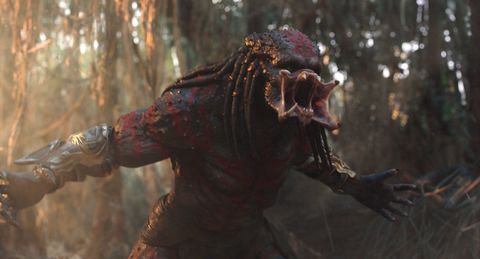 Detail Predator Movie Pics Nomer 28