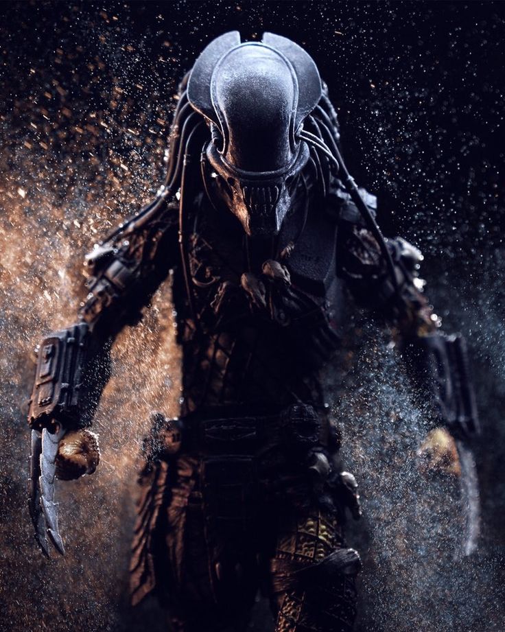 Detail Predator Wallpaper Nomer 30