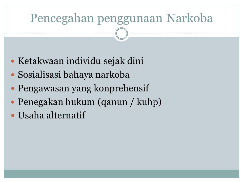 Detail Presentasi Power Point Tentang Narkoba Nomer 13