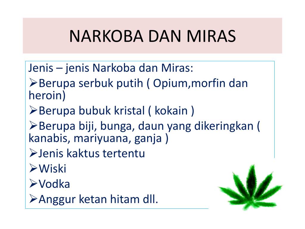 Detail Presentasi Power Point Tentang Narkoba Nomer 5