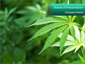 Detail Presentasi Power Point Tentang Narkoba Nomer 51