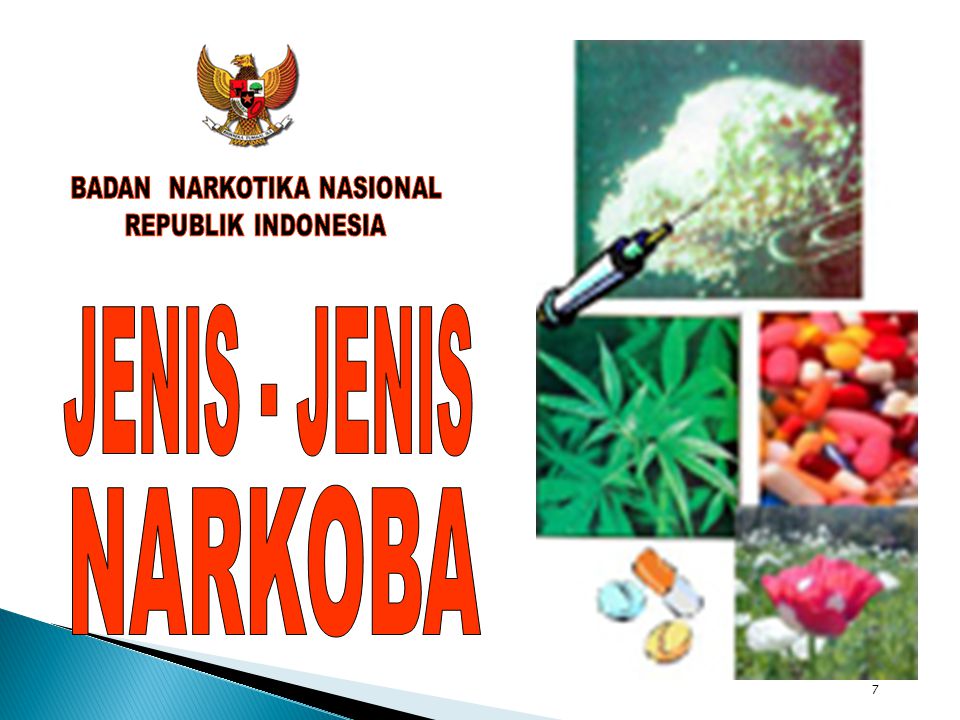 Detail Presentasi Power Point Tentang Narkoba Nomer 7