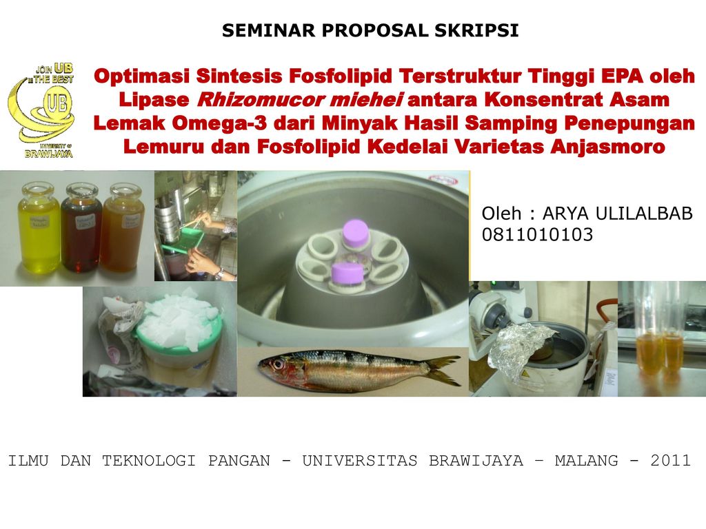 Detail Presentasi Proposal Skripsi Ppt Nomer 55