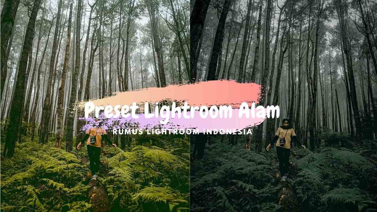 Detail Preset Lightroom Pemandangan Nomer 4