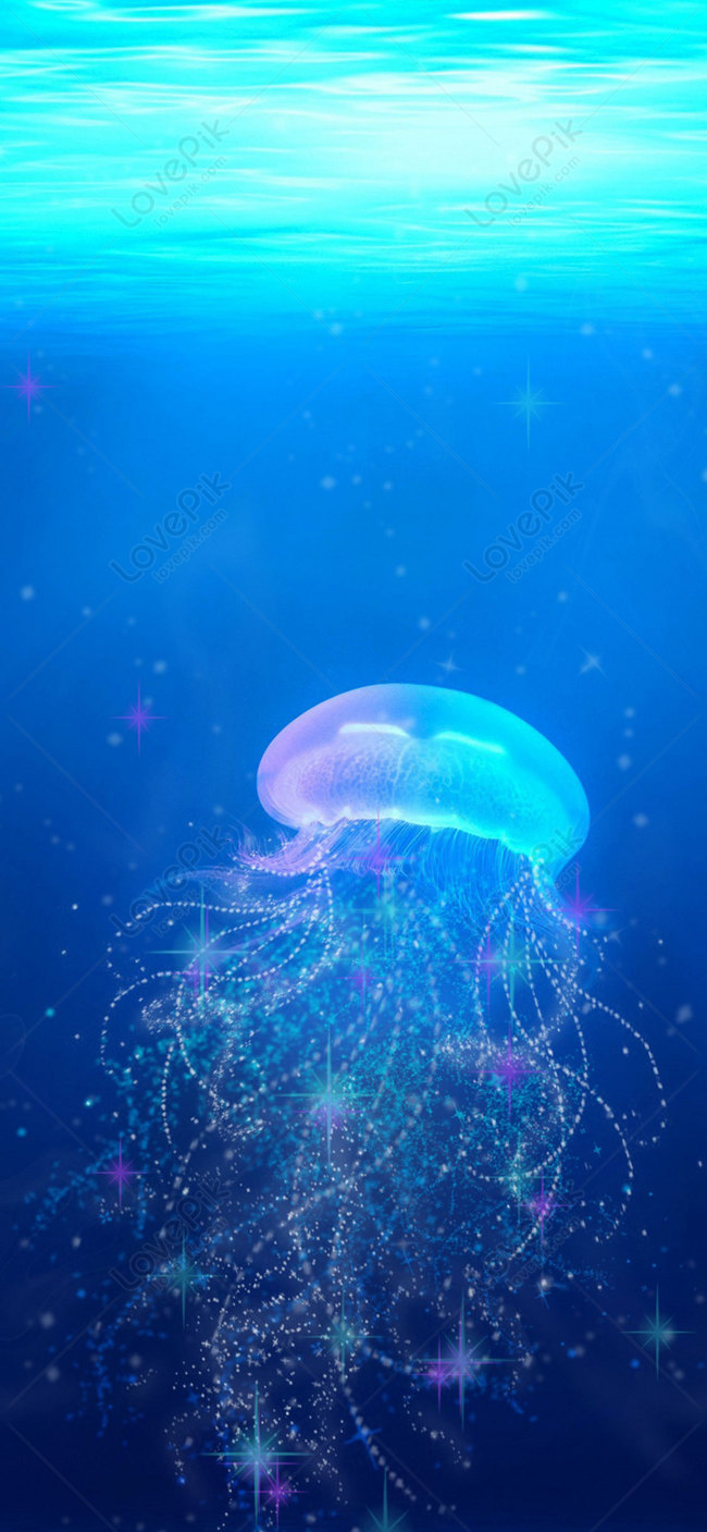 Detail Pretty Jellyfish Wallpaper Nomer 22